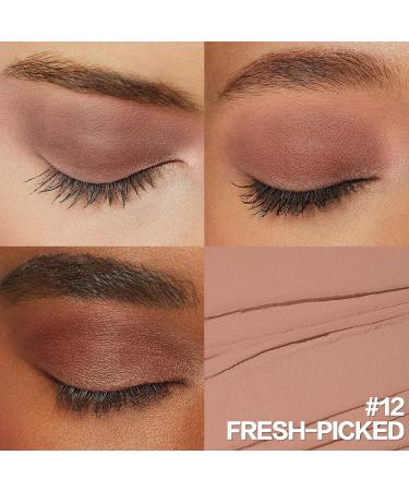 FOCALLURE No Crease Eyeshadow Stick | Creamy Matte & Shimmer Pencil | Smudge-proof & Waterproof | 12 Fresh-Picked Shades - Buy Online on GoSupps.com