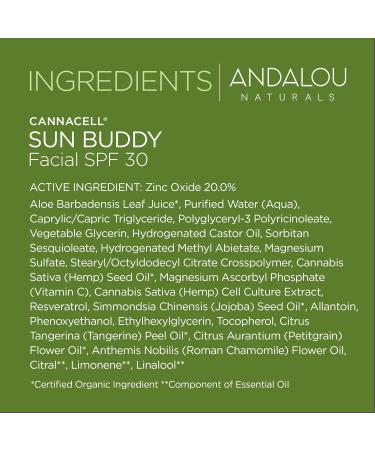 Andalou Naturals Face Sunscreen SPF 30 | CannaCell Sun Buddy with Hemp Stem Cells | Moisturizing Reef Safe & Broad Spectrum | International Shipping Available - Buy Online on GoSupps.com