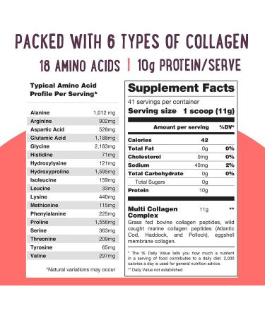 Multi Collagen Protein Powder Type I II III IV V X - Unflavored & Hydrolyzed 16Oz Pure Collagen Peptides Powder - Grass Fed Beef Wild Fish Marine & USA Eggshell - Whole Body Collagen Unflavored 41 servings (Pack of 1) - Buy Online on GoSupps.com