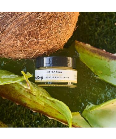 Coconut Lip Scrub 0.5 oz | Natural Sugar Exfoliator Moisturizing Coconut Oil Vegan & Cruelty-Free Eco-Friendly Gift for Self-Care - Buy Online on GoSupps.com