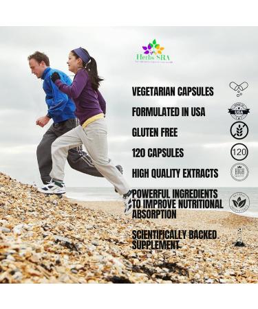 Herbs SRA Premium Formula- Probiotic Blend: Contains 25 Billion CFU- Supports a Strong Dgestive System. Supports Balanced Gut Flora-120 Vegetarian Capsules. - Buy Online on GoSupps.com