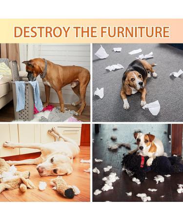 HAWSON Pet Snuffle Mat for Dogs - Large 23.6 x 31.5 Feeding Mat and Treat Dispenser - Indoor/Outdoor Stress Relief Toy for Dogs - Buy Online on GoSupps.com