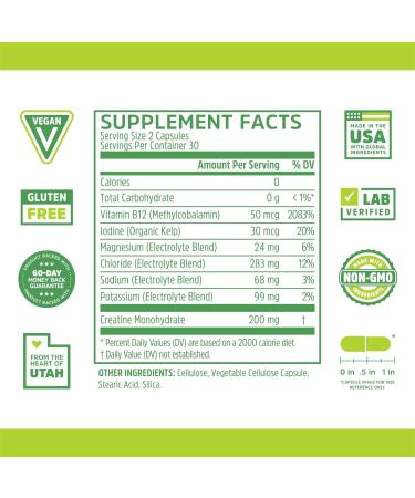 Zhou Fast Support+ | Intermittent Fasting Supplement with Vitamin B12 Electrolytes & Creatine | 60 Veg Caps for Energy & Performance - Buy Online on GoSupps.com