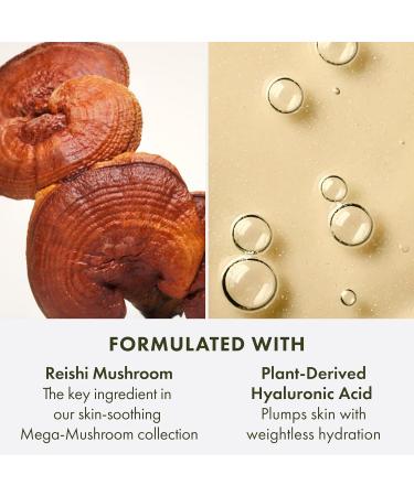 Origins Mega-Mushroom Soothing Face Mist | Plumps Refreshes & Soothes | With Reishi & Snow Mushroom 3.4 Fl Oz - Buy Online on GoSupps.com