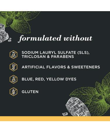 Burt's Bees Charcoal Fluoride-Free Toothpaste Zen Peppermint 4.7 oz - Pack of 3 - Buy Online on GoSupps.com