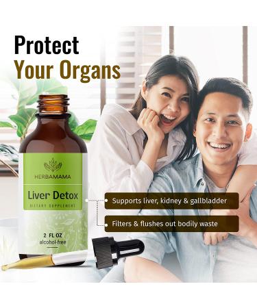 HERBAMAMA Liver Cleanse & Repair Liquid Drops - Herbal Supplement w/ Dandelion & Milk Thistle for Liver Detox - 2 fl. Oz Bottle - Buy Online on GoSupps.com
