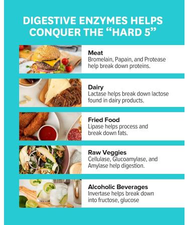 Zenwise Health Digestive Enzymes + Prebiotics & Probiotics Supplement (90 Count) - Travel Size for Daily Digestion & Immune Support - Buy Online on GoSupps.com