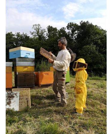 IO APE - Organic Summer Millefiori Honey 500 g - Italian honey from the Como region - Buy Online on GoSupps.com