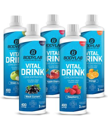 BODYLAB24 Vital Drink Concentrate - Sugar-Free Currant Beverage 1000ml | Low-Calorie Sports Drink with Vitamins & L-Carnitine - Buy Online on GoSupps.com