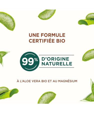  Natur moi Natur Moi - Roll-on Deodorant - 24-hour effectiveness - Men's deodorant with organic aloe vera and magnesium - Woody fragrance - 99% natural origin - 50 ml - Made in France - Buy Online on GoSupps.com