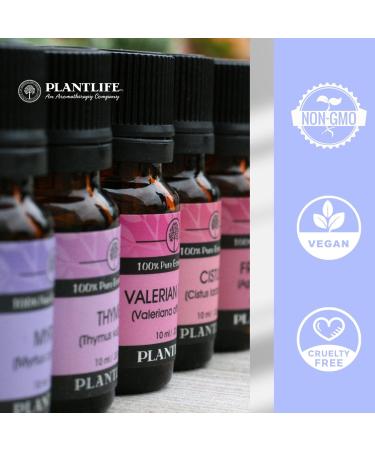 Plantlife Clary Sage Aromatherapy Essential Oil - Straight from The Plant 100% Pure Therapeutic Grade - No Additives or Fillers - 10 ml - Buy Online on GoSupps.com