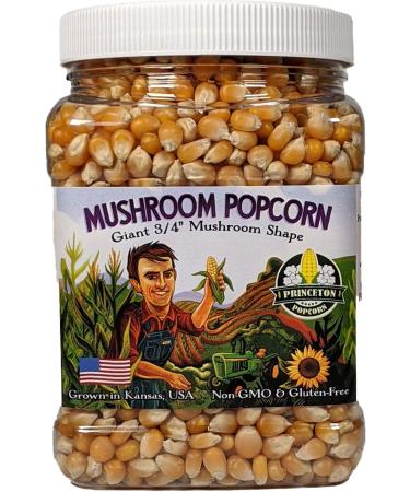 Mushroom Popcorn Kernels by Princeton Popcorn Farm Grown, Non GMO, Gluten Free UnPopped, Ball Shaped, Old Fashion Popcorn Pops Extra Large, Popping Corn for Air Popper & Stovetop 32oz Kettle-Corn 2 Pound (Pack of 1)