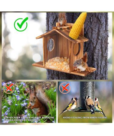 LgowithU Squirrel Feeder Wood Squirrel Feeders for Outside Winter Durable Box Easy to Fill with Removable Front Panel for Corn Peanuts Nuts - Buy Online on GoSupps.com