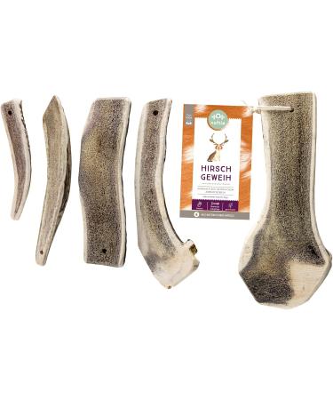 Naftie Hirschweih Half Antler Bone - Natural Chew for Large Dogs | Dental Care Snack | Premium Antler Kausnack L - Buy Online on GoSupps.com