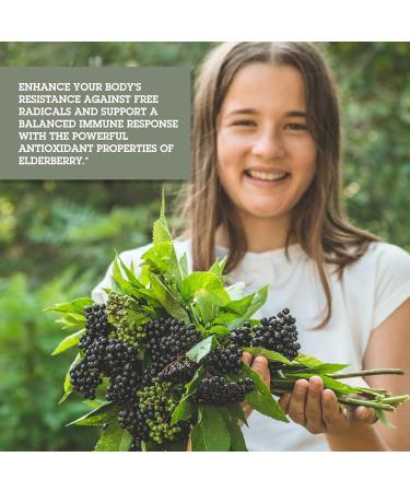 Quantum Health Immune Support Elderberry Echinacea Goldenseal Liquid Extract - Daily Wellness Herbal Immunity Formula for Women & Men - High Dose Fast Absorption Tincture - 2 Fl Oz - Buy Online on GoSupps.com