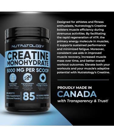 Creatine Monohydrate Powder 425g - For Increased Muscle Growth & Performance - Pre-workout Muscle Builder - Supports Athletic Performance - Creatine Powder for Workouts - 85 Servings 425.00 g (Pack of 1) - Buy Online on GoSupps.com