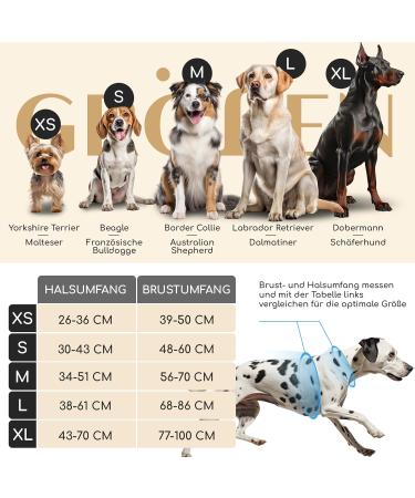 Freudentier Breathable Dog Harness - Padded Anti-Drawing For All Sizes - Let s Get Foxy Collection - Comfortable Seat for Large Medium & Small Dogs - Buy Online on GoSupps.com