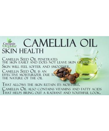 Dr Joe Lab 100% Pure Camellia Seed Oil - 1 Gallon Cold Pressed Extra Virgin Oil for Hair Skin Body Nails & Beard Moisturizing & Hydrating 128 Fl Oz - Buy Online on GoSupps.com