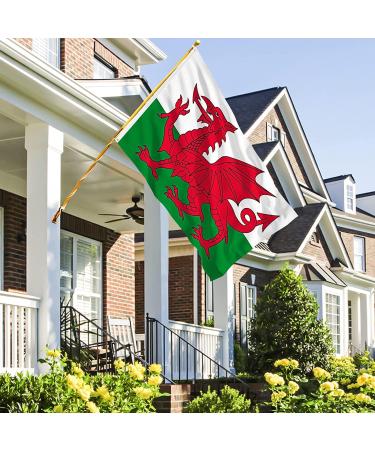 Shachi Great Wales Flag - Welsh Dragon 3ft x 2ft | Polyester Tissue with Brass s for FIFA World Cup Football Rugby & Sports - Buy Online on GoSupps.com