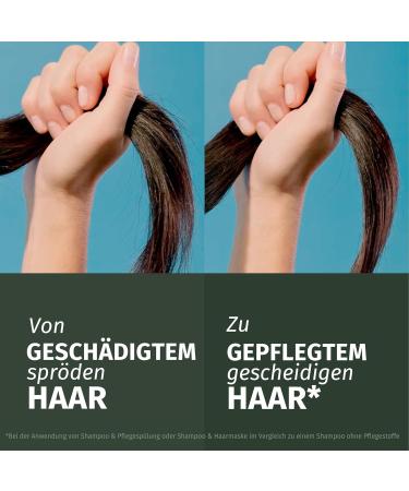 Herbal Essences Repair Haarmask mit Argan l 300ml Intensive Pflege f r gl nzendes gesundes Haar | Vegan & Nat rliche Inhaltsstoffe - Buy Online on GoSupps.com