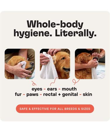 ZOOP Dog Wipes - Natural Whole-Body Odor Eliminator for Dogs & Cats | Fragrance-Free | 60 Count - Buy Online on GoSupps.com