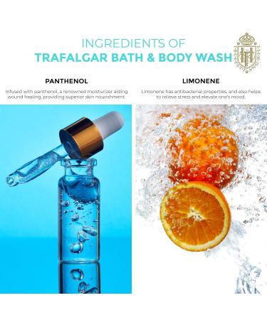 Buy Truefitt & Hill Trafalgar Bath & Shower Gel | Luxury Men's Grooming | International Shipping Available - Buy Online on GoSupps.com