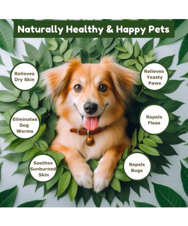 Organic 100% Cold Pressed Neem Oil (16 Fl Oz) - Pure Neem Oil for Hair Skin Nails Pets Indoor & Outdoor Plants & Garden - Unrefined All Natural Concentrated Mutlipurpose 16 Fl Oz (Pack of 1) - Buy Online on GoSupps.com