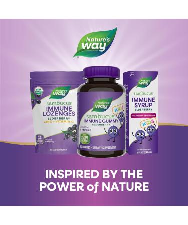 Nature's Way Sambucus Elderberry Immune Gummies for Kids with Black Elderberry Extract Vitamin C and Zinc Immune Support Gummies* 60 Count (Set of 3) - Buy Online on GoSupps.com