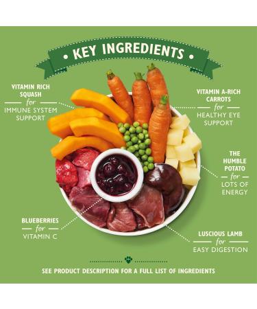 Lily's Kitchen Natural Adult Dog Food Wet Tins - Lamb Hotpot - 6 x 400g Complete Meal Recipes - Buy Online on GoSupps.com