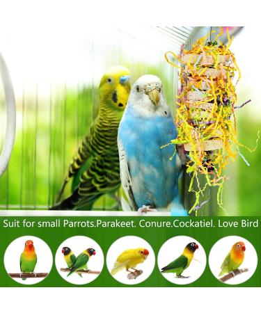 Heyu-Lotus 5 Pack Bird Shredding Toys Bird Parrots Chewing Hanging Toys Parrot Cage Shredder Toys Bird Cage Accessories for Small Parakeets Cockatiels Budgies Conures Love Birds Finches - Buy Online on GoSupps.com