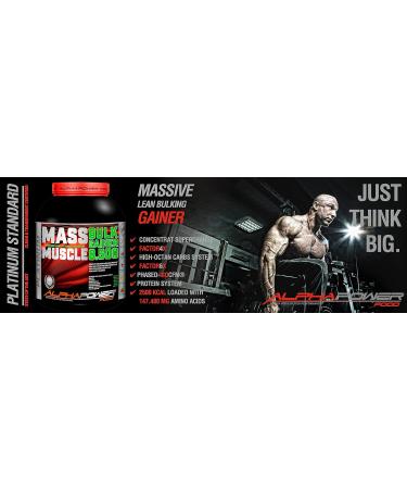 Buy Alphapower Food Maas Whey Muscle Weight Gainer 5kg - Strawberry & Creatine for Hardgainers | Protein BCAA + MCT Oil - Buy Online on GoSupps.com