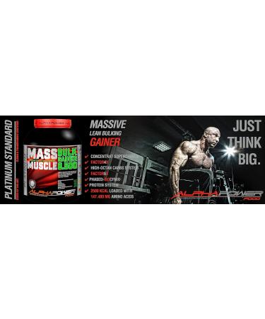 Alphapower Food Maas - Strawberry Protein Powder & Muscle Weight Gainer | 2kg with Creatine BCAA & MCT Oil for Hardgainers - Buy Online on GoSupps.com