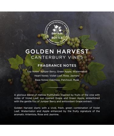 NOBLE ISLE Golden Harvest Luxury Body Lotion 250ml - Hydrating Moisturizer for Glowing Skin | International Shipping Available - Buy Online on GoSupps.com