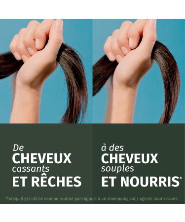 Herbal Essences Repair Shampoo Argan Oil 2x250ml Damaged Hair Intense Nourishment for Soft and Smooth Hair Natural Ingredients Silicone Free Vegan - Buy Online on GoSupps.com