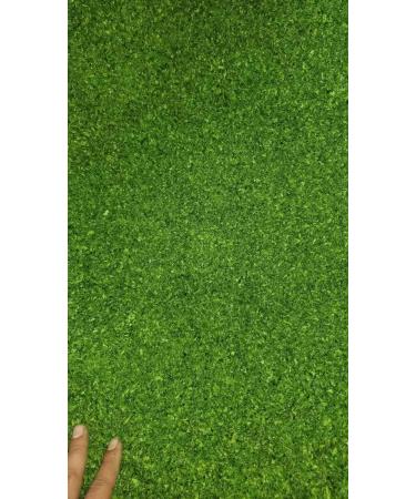Aosa Ulva Lactuca Sea Letture Flakes for Food Additive 500g - Buy Online on GoSupps.com