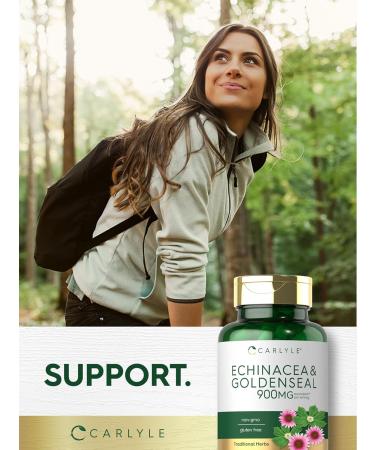 Carlyle Echinacea Goldenseal Capsules | 110 Count | Vegetarian Non-GMO Gluten Free - Buy Online on GoSupps.com