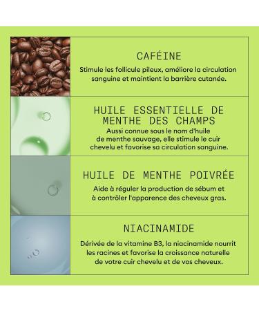 NIOXIN System 2 - for Natural Hair Advanced Hair Loss - Kit/Shampoo/Conditioner/Scalp Care - Buy Online on GoSupps.com