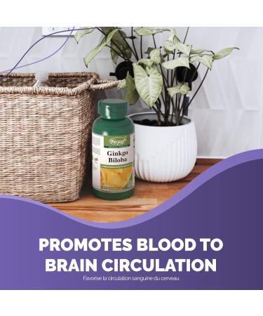 VORST Ginkgo Biloba 60mg with 50:1 Extract Ratio (3000mg Raw Extract Equivalent) 90 Capsules | Supplement for Cognitive Function Eye Health Memory Retention & Brain Concentration Boost | Powder Pills | 1 Bottle 90 count (Pack of 1) - Buy Online on GoSupps.com