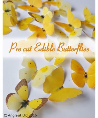 24 X PRE-CUT BEAUTIFUL MEDIUM YELLOW BUTTERFLIES EDIBLE RICE/WAFER PAPER PRE CUT CUPCAKE CAKE DESSERT TOPPERS BIRTHDAY PARTY WEDDING BABY SHOWER DECORATIONS (Medium) - Buy Online on GoSupps.com