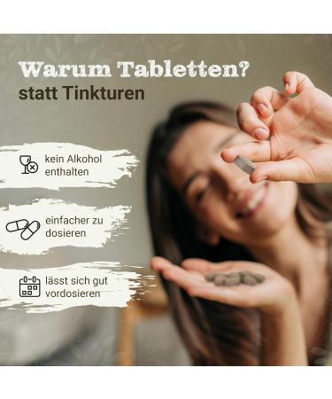 Buy Premium Ginger Tablets 450mg - 105 Vegan Tablets from Austria | Pure Zingiber Officinale | No Additives Herbal Supplement - Buy Online on GoSupps.com