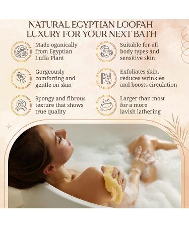 Egyptian Natural Loofah Sponge Exfoliating Body Scrubber - Gentle & Vegan Luffa Sponges for Deep Cleansing - 6x6 Inches - 4 Pack - Buy Online on GoSupps.com