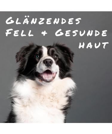 Sollis Fellfinesse for Dogs | Change of Fur Support | Relieves Itching Dermatitis & Hair Loss | 500g Skin & Fur Supplement - Buy Online on GoSupps.com