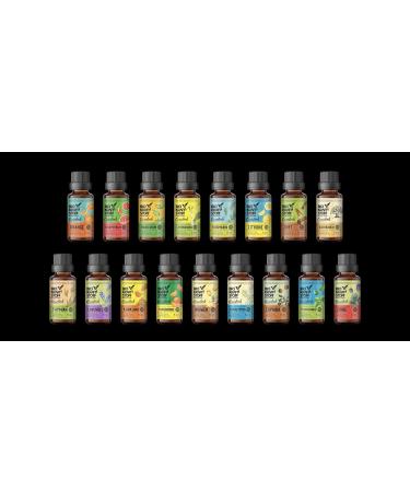 BiOKRAFTSTOFF Ginger Essence - 100% Pure Organic Vegan Essential Oil for Ingestion & Seasoning - Buy Online on GoSupps.com