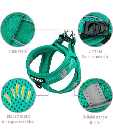 Buy Green Padded Dog Harness for Medium & Small Dogs - Comfortable Puppy Harness for Optimal Fit - Buy Online on GoSupps.com