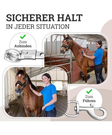 Buy Esposita F hrkrick Connection Trick Solid Champion Edition - Black/Silver Panic Hooks & Carabin Hooks | International Shipping - Buy Online on GoSupps.com