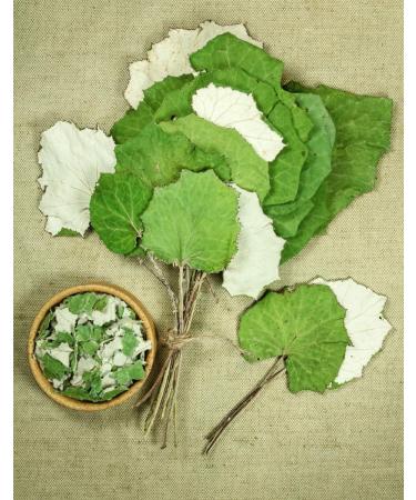 Coltsfoot Leaf Tea | Feuille De Tussilage Tisane | Tussilago Farfara Health Embassy (100g) - Buy Online on GoSupps.com