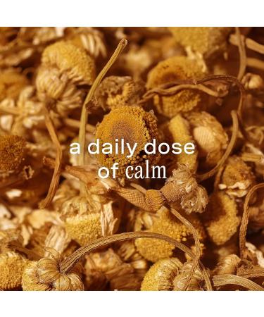 Addison Rae Fragrance Chill - Perfume for Women - Floral Woody Scent - Cologne for women - Long Lasting Fragrance with Notes of Pear Blossom Apple Sandalwood - Vegan Cruelty Free - 3.4 oz EDP Spray Chill AF - Floral Woody 3.4 Ounce - Buy Online on GoSupps.com