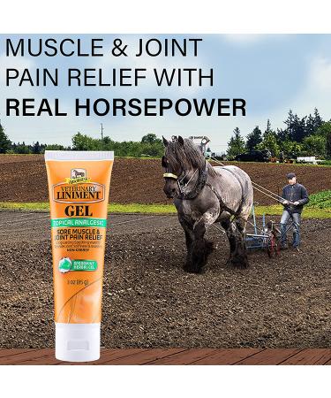 Absorbine Veterinary Liniment Gel - Menthol Pain Relief for Sore Muscles, Joints & Arthritis - Buy Online on GoSupps.com