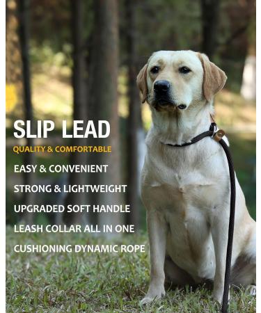 Lynxking Strong Heavy Duty Braided Rope Slip Lead for Medium, Large & Small Dogs - Black, 1/2in x 5ft - Buy Online on GoSupps.com