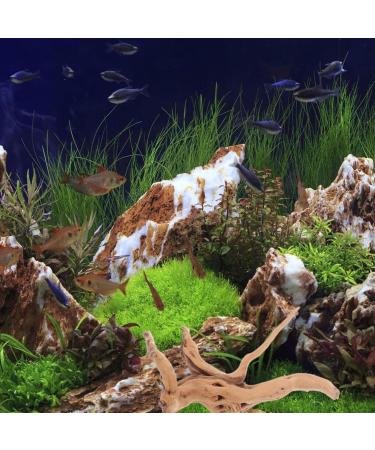 POPETPOP Aquarium Driftwood Branches- 3pcs Aquarium Driftwood for Reptiles Freshwater Terrarium Decor Reptile Tank Accessories Spiderwood for Aquarium - Buy Online on GoSupps.com